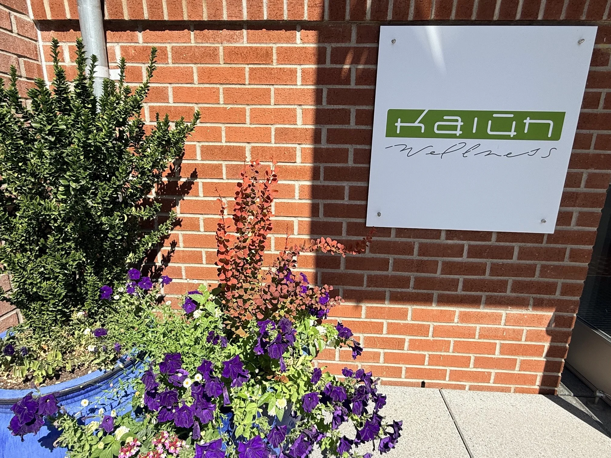 July Newsletter