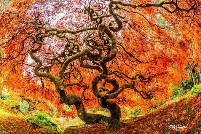 October Newsletter