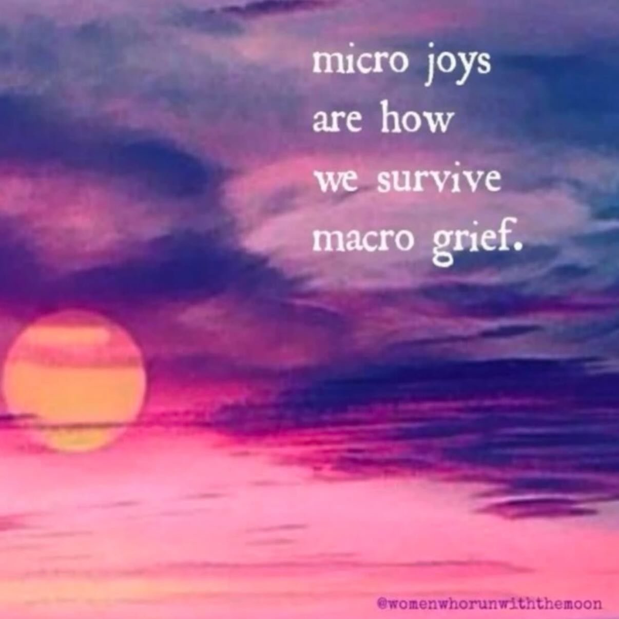 Hope you all are doing alright today 🌻🌷