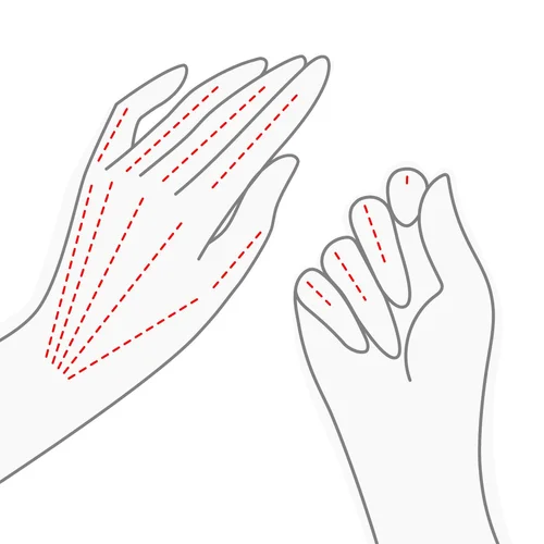 Illustration of a pair of hands, marking the area treated with skin boosters