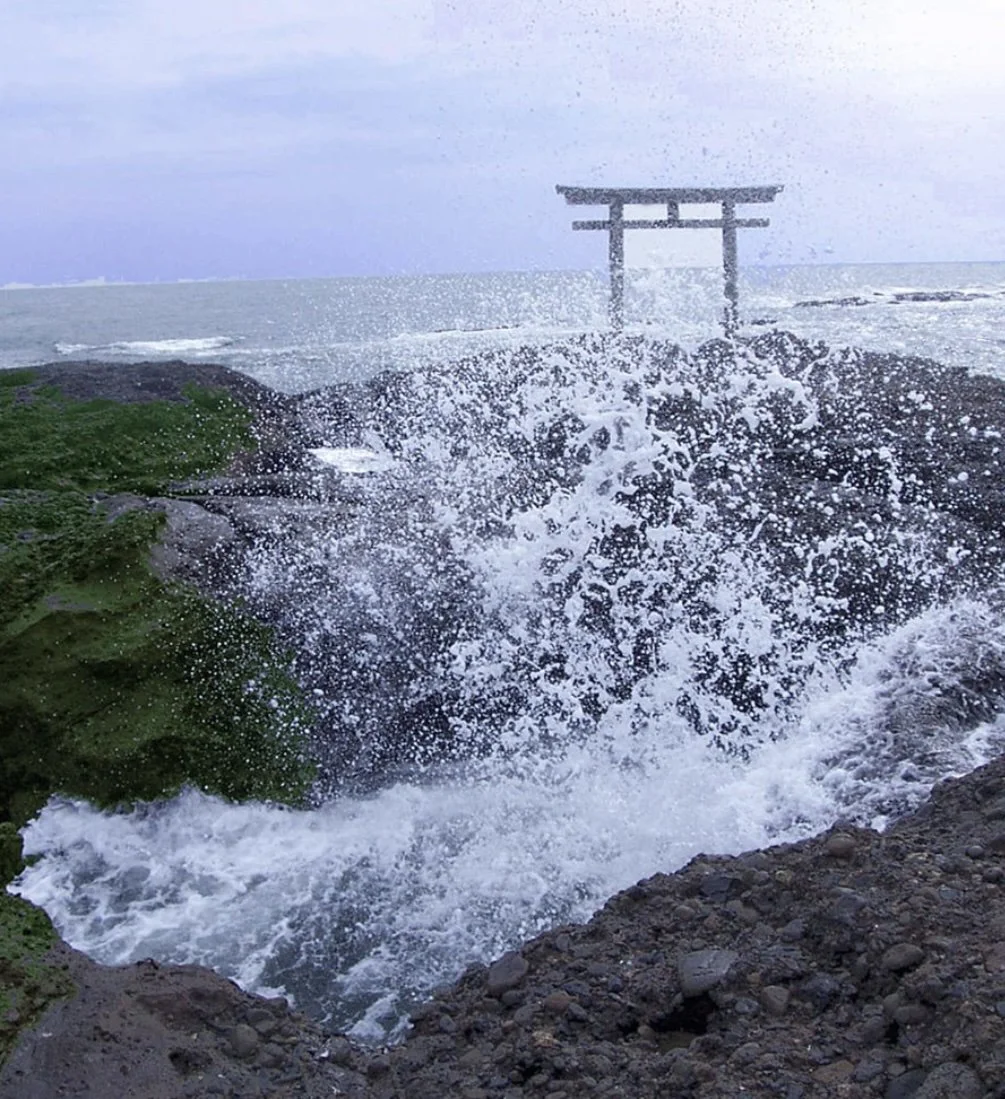 Art Reception with Janine Brodine