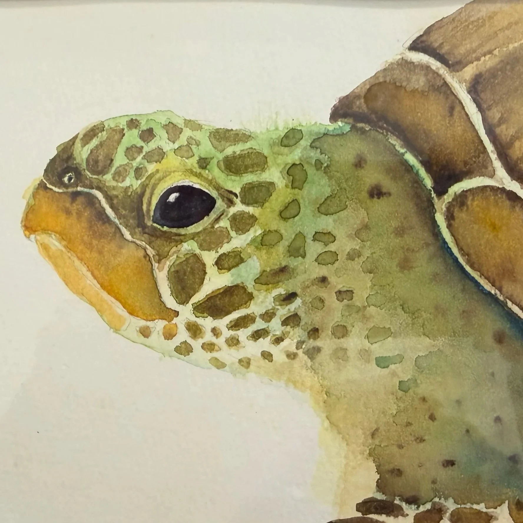 Art Meet-Up Group  