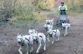 Northwest Sled Dog Asociation