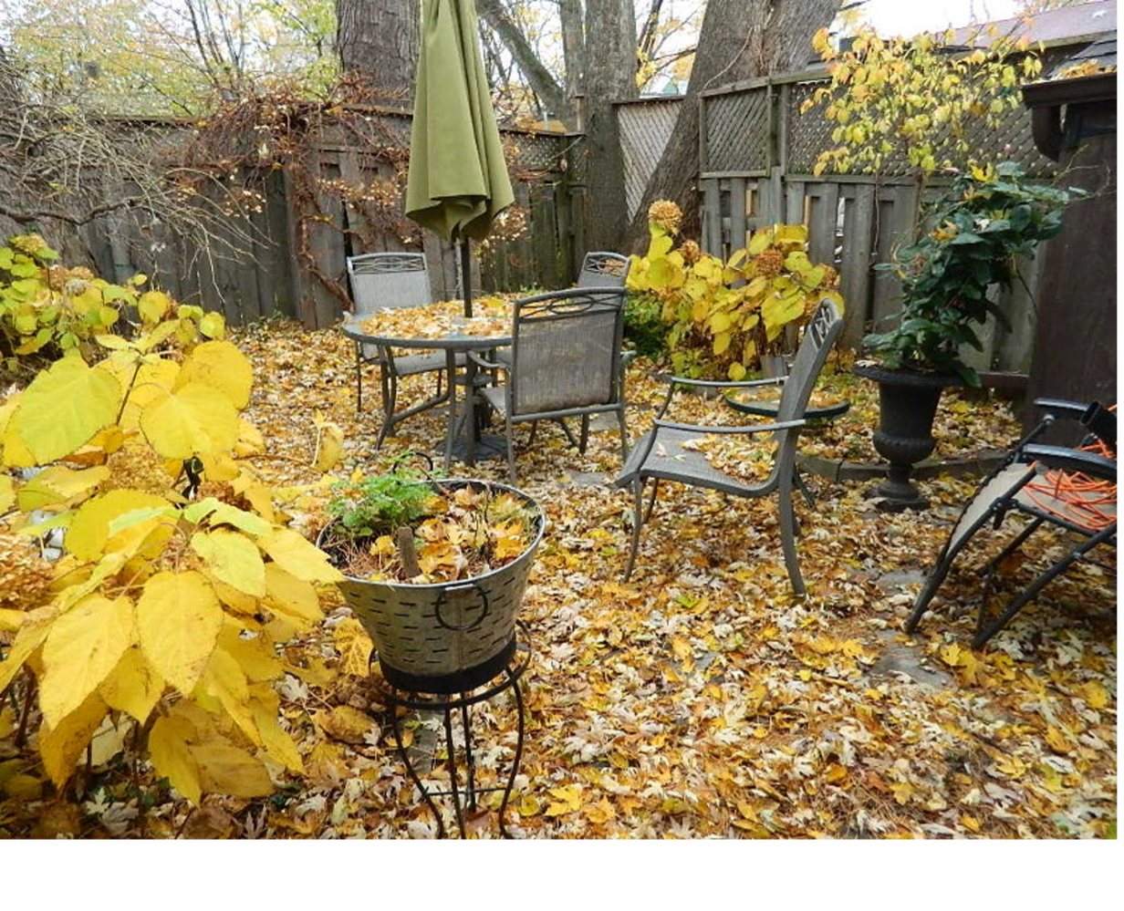 Put Your Garden to Bed for the Winter!