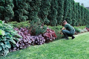 Unleashing Happiness: Weed Out Toxicity &amp; Let The Flowers Bloom