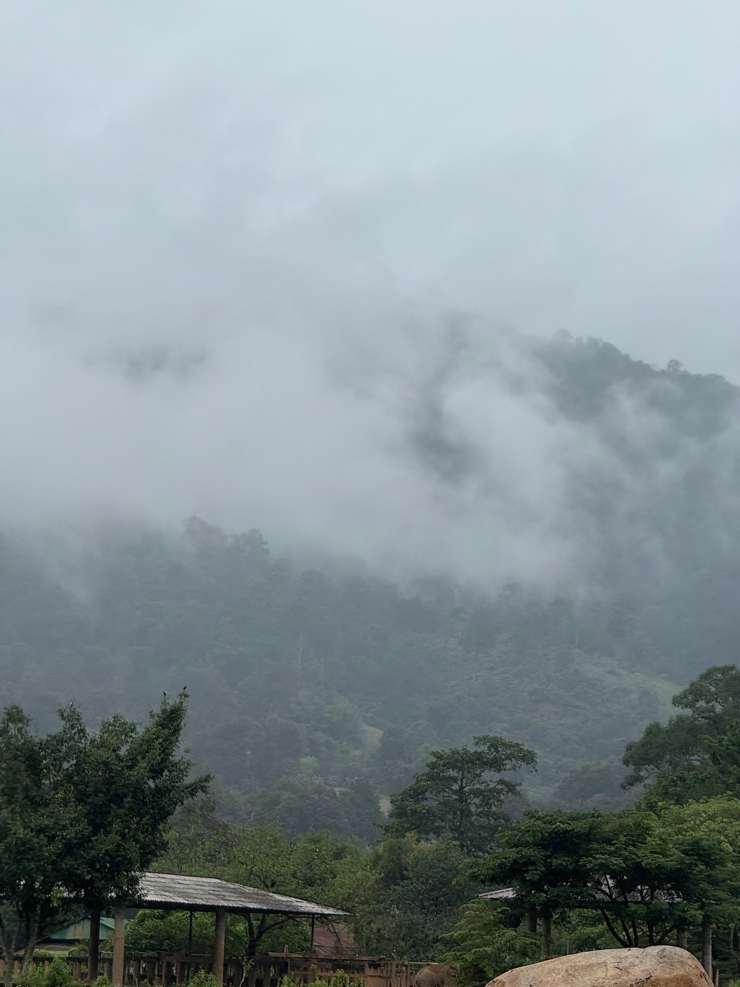 An incredible day at the Chiang Mai Elephant Nature Park. Sunshine for Elephants is an ethical project that provides a safe and caring home in nature for rescued, injured, and abused elephants. The 250-acre nature park has now expanded to rescue 1000