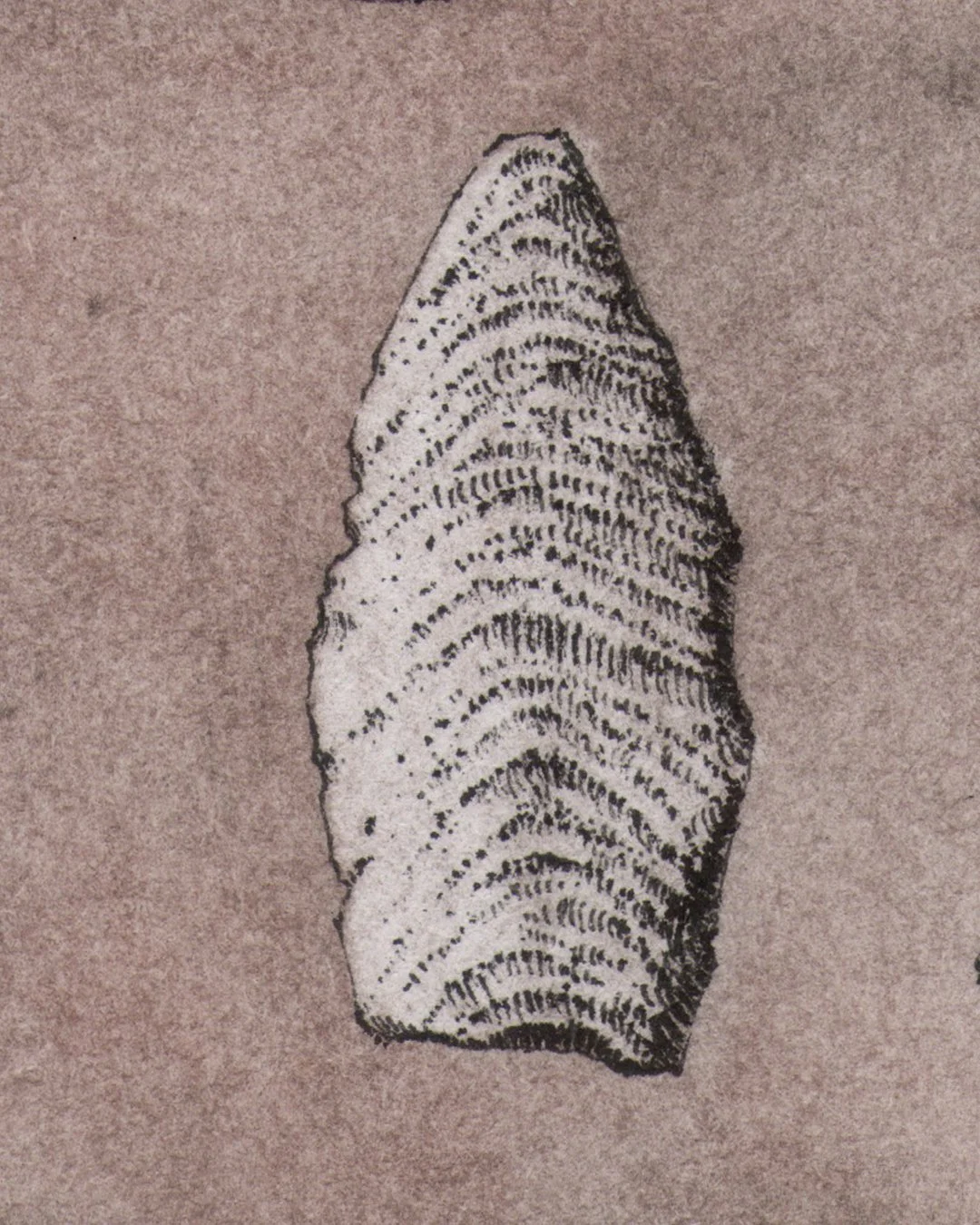 andreas-papastergiou-ink-and-color-pencil-drawing-stone-artefacts_Closeup3.jpg