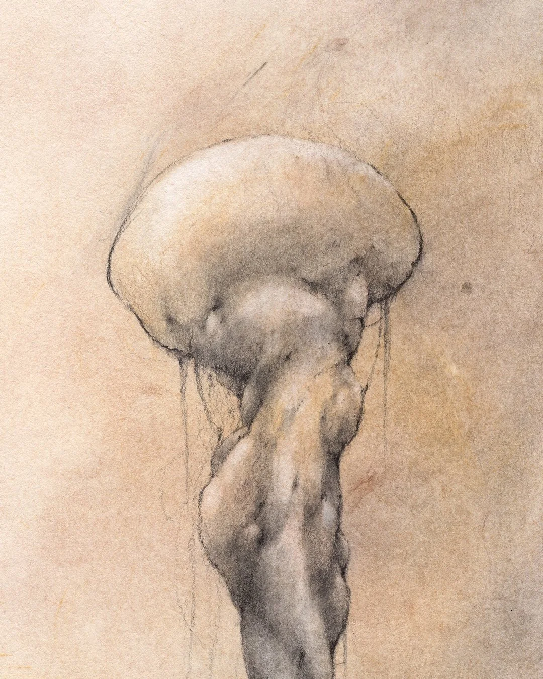 andreas-papastergiou-graphite-and-dry-pastels-drawing-mysterious-floating-mass-Closeup2.jpg