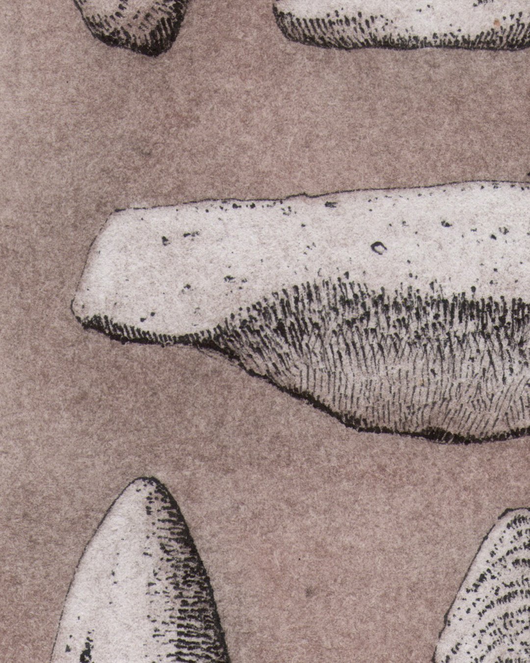 andreas-papastergiou-ink-and-color-pencil-drawing-stone-artefacts_Closeup2.jpg