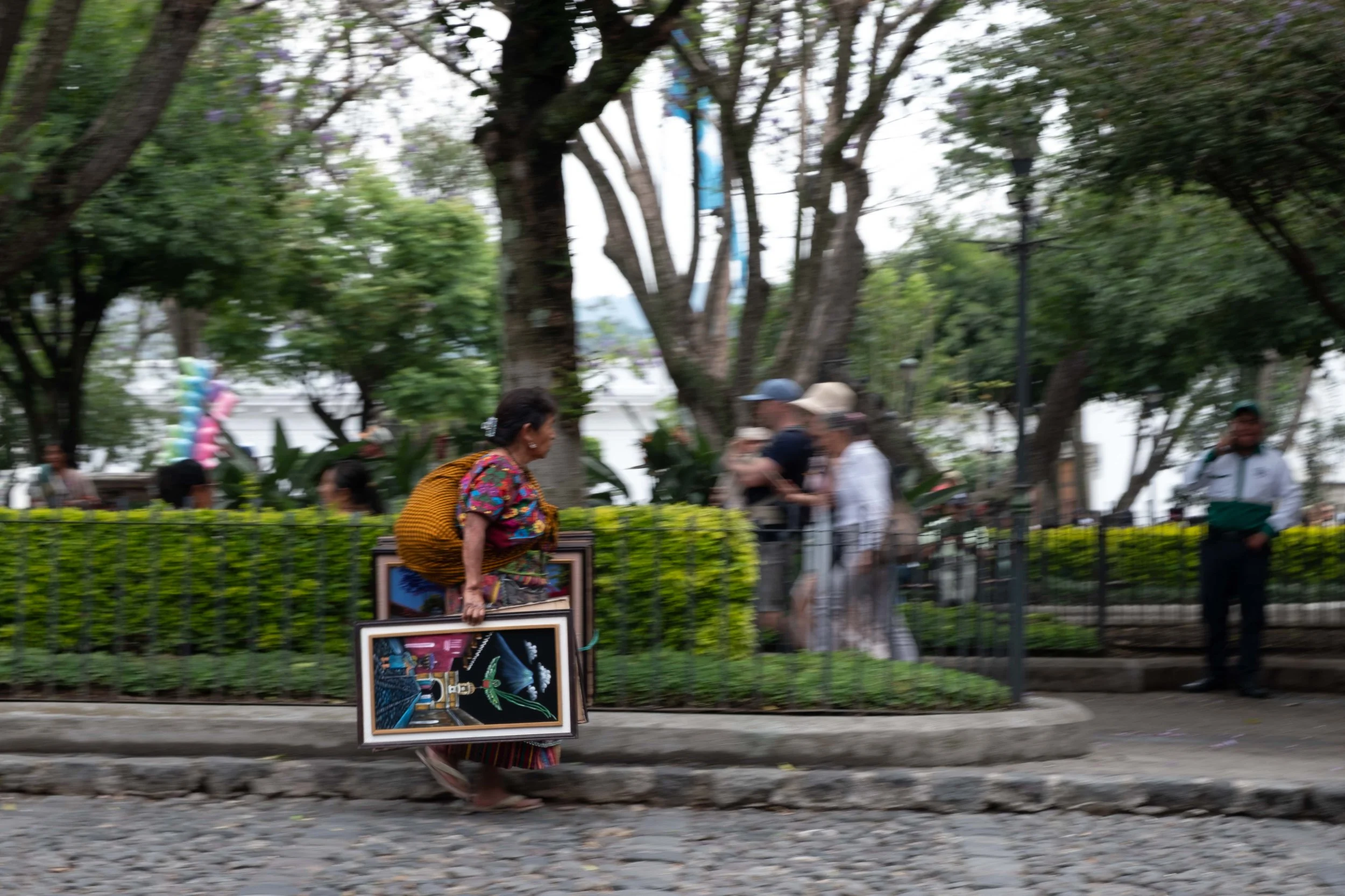 DSCF0953.jpg