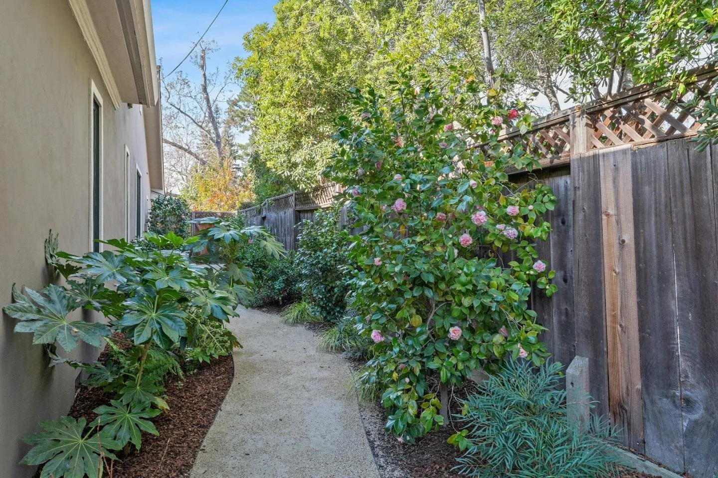 30_Atkinson Lane.jpeg