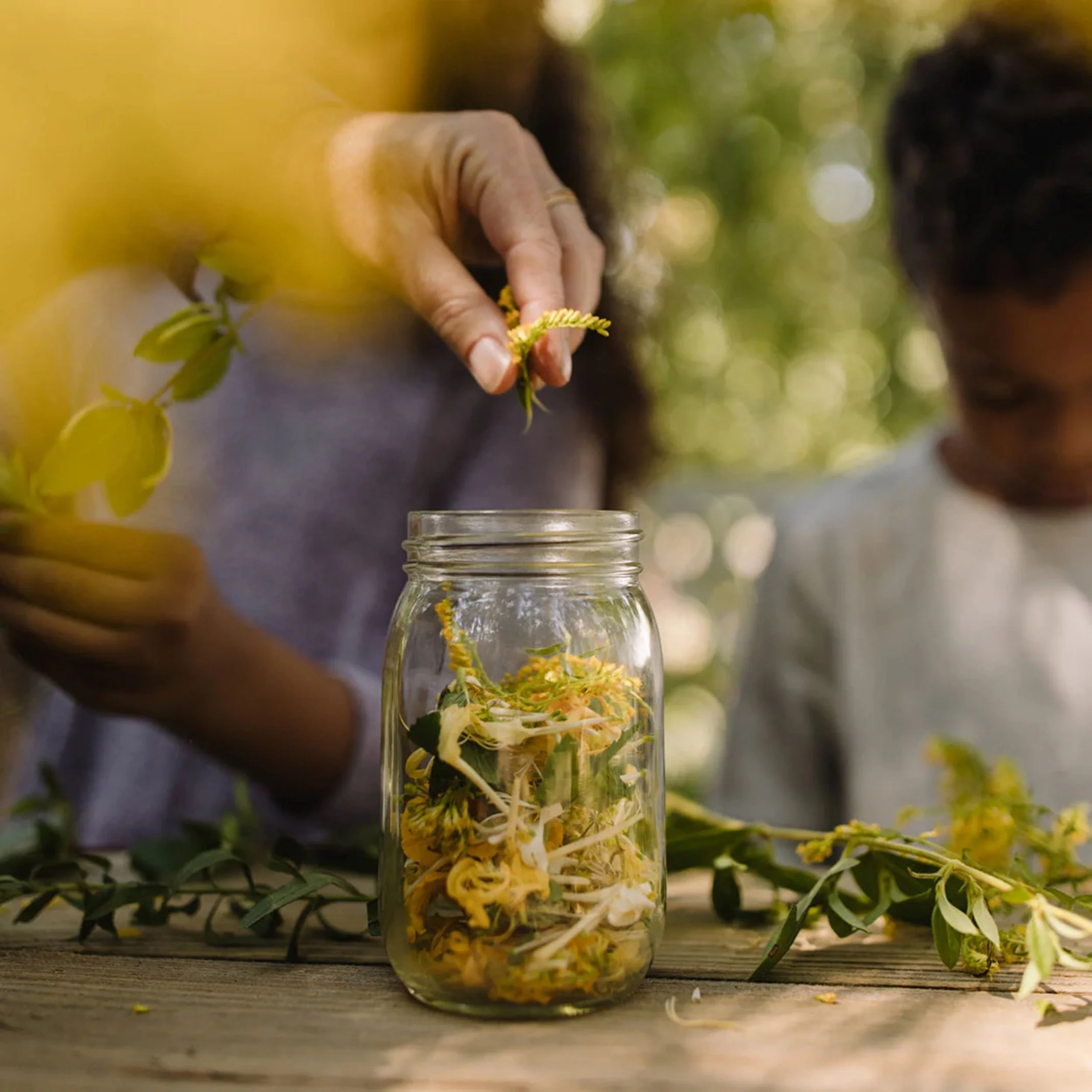 Herbal Tincture Workshop
