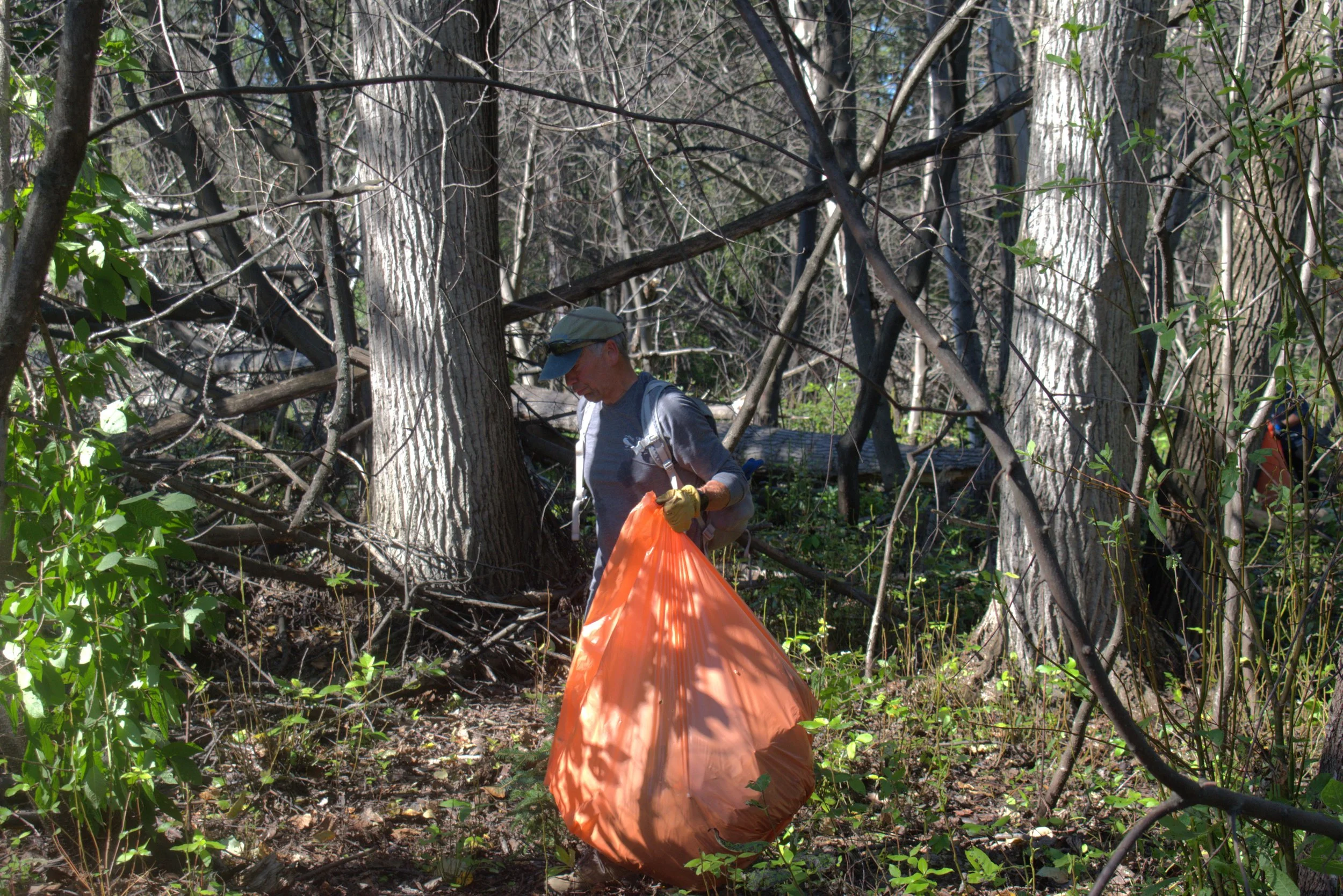 DSC_0400.jpg
