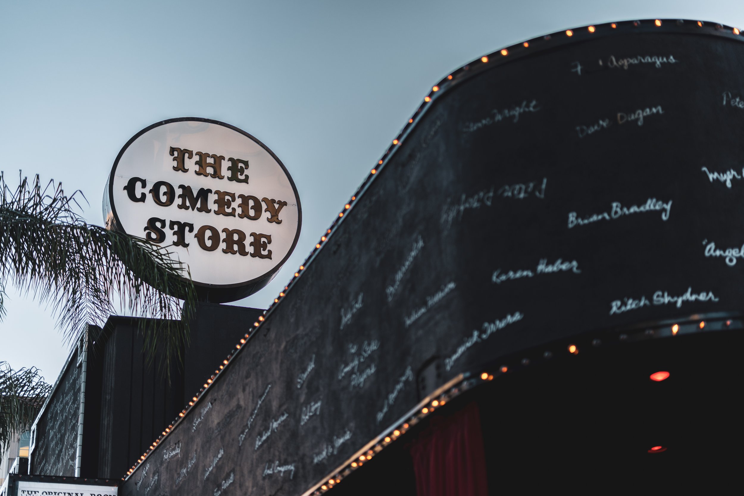 LONGTAIL 25 - YAER x RS-1029.jpg