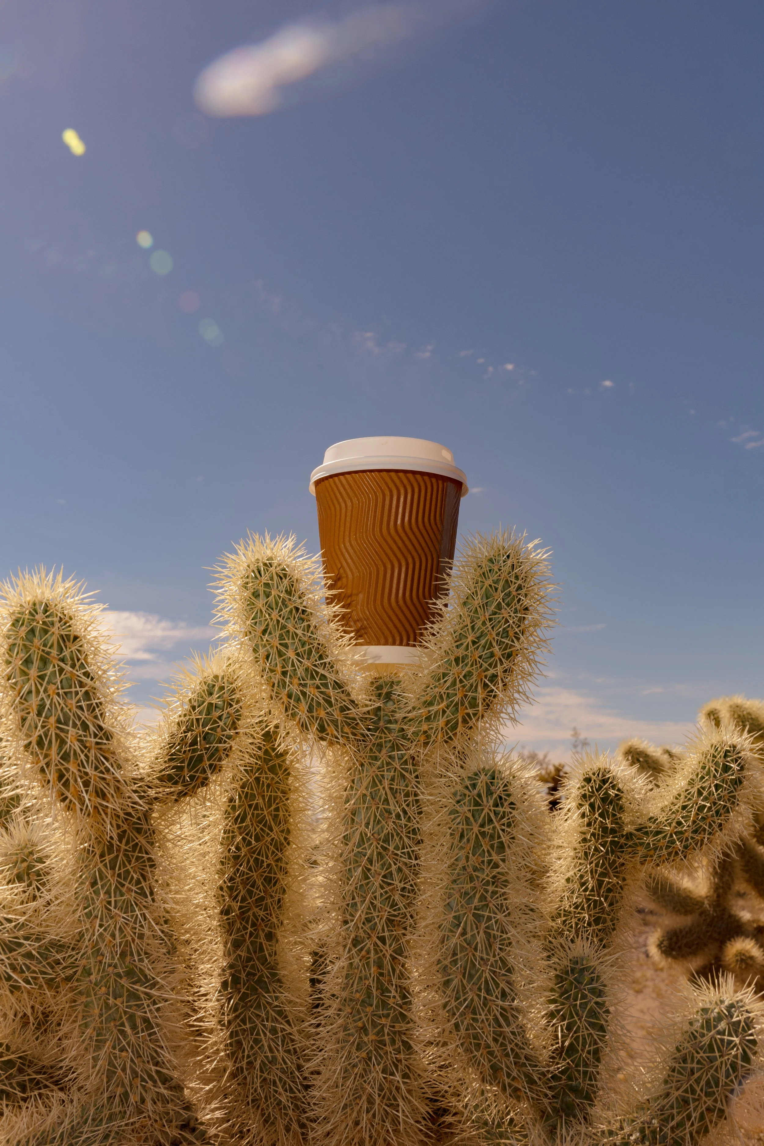 8 July Events In Arizona 
