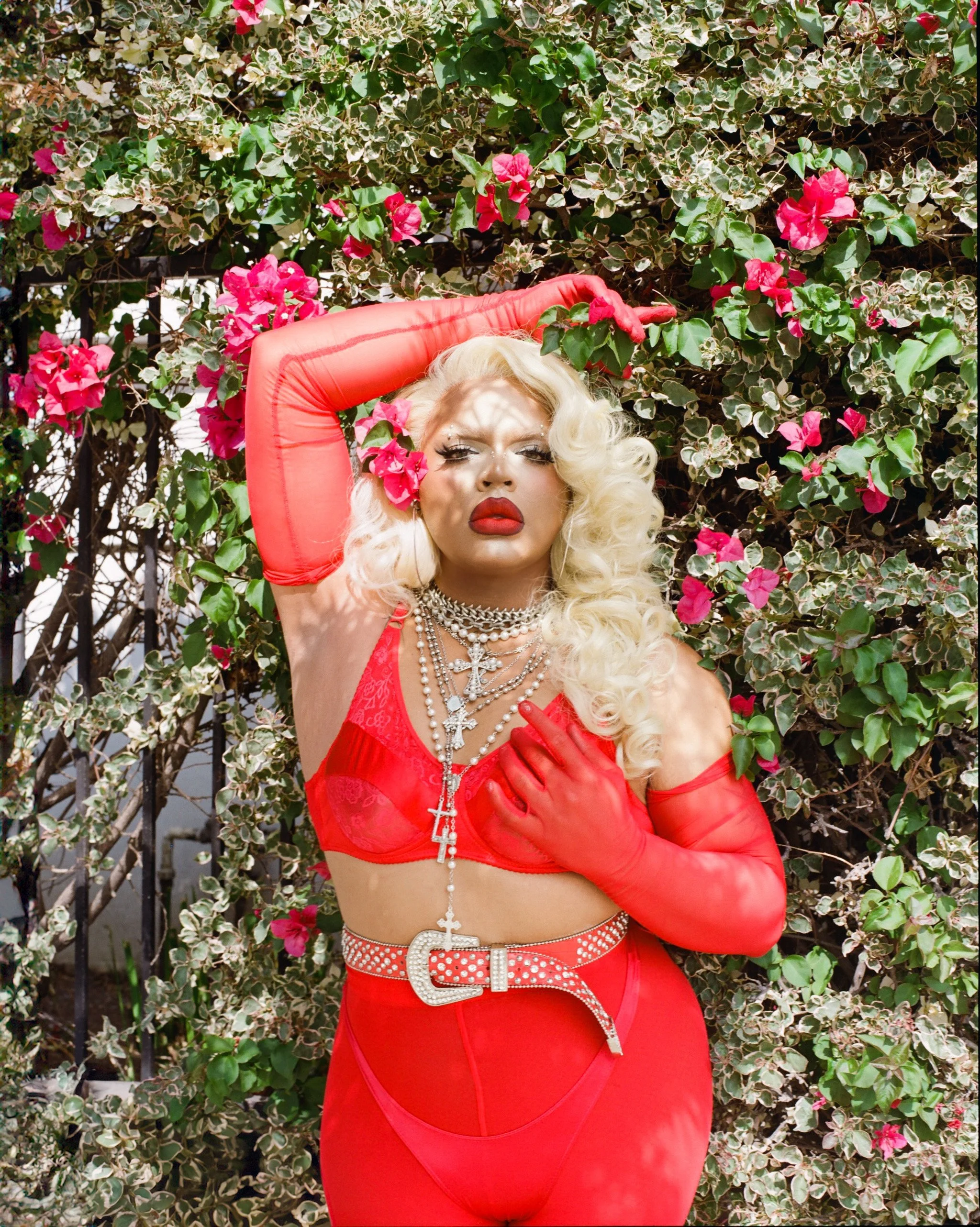 Kandy Muse 