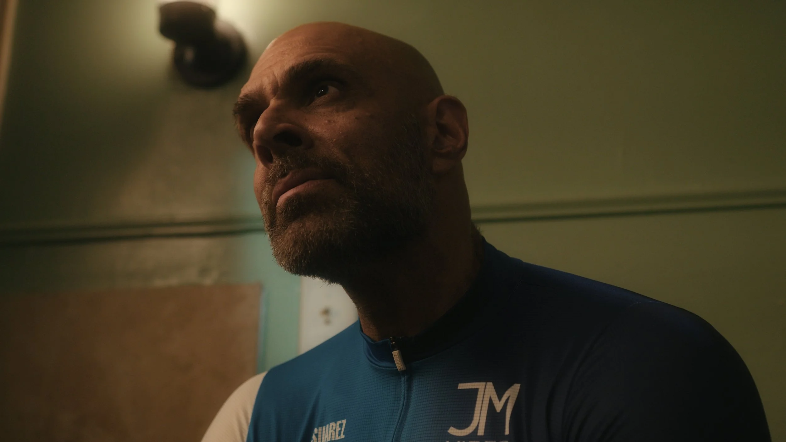 palomino sits_1.461.1.jpg