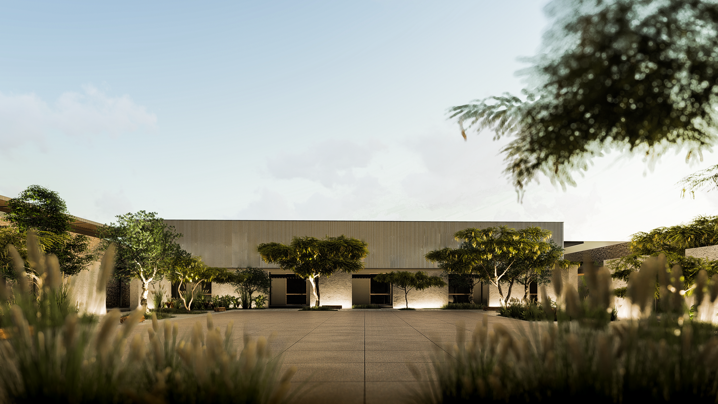 Edificio moderno con fachada de líneas rectas y muchas ventanas, rodeado de árboles y plantas, con camino pavimentado en el frente y luz de noche resaltando la vegetación.