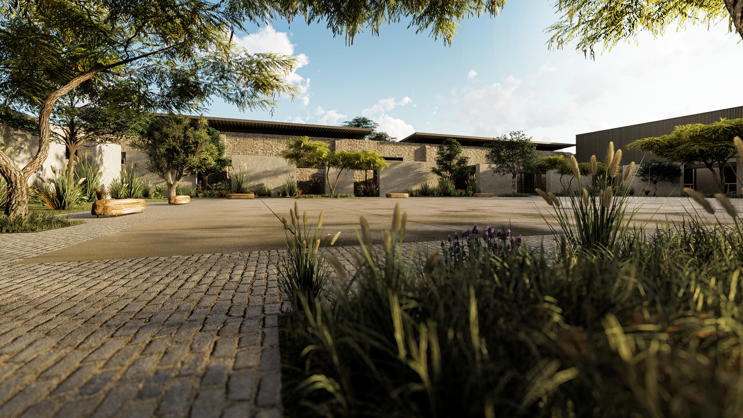 Un patio con árboles y plantas, con una pared de piedra al fondo, en un día soleado y despejado.