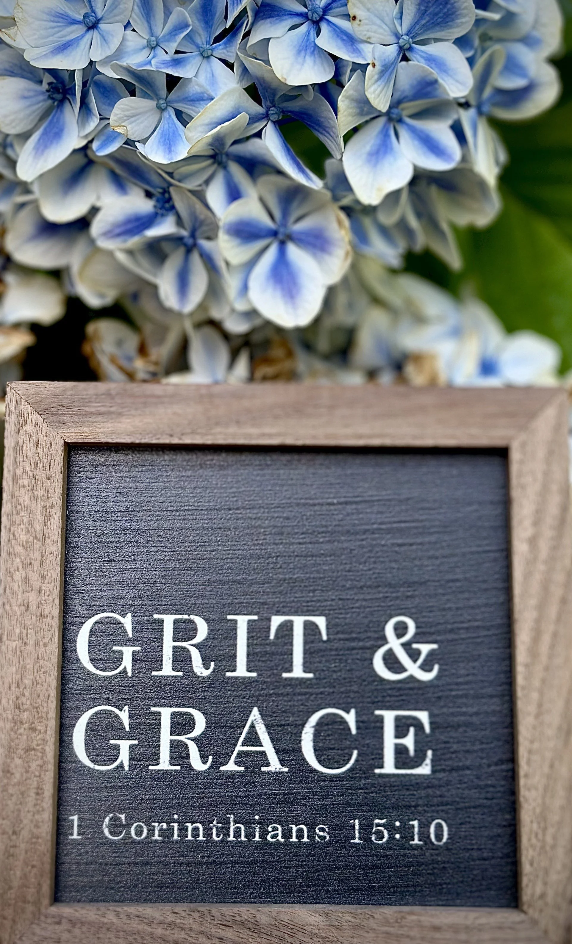A framed chalkboard sign with the words "Grit & Grace" and a Bible verse from 1 Corinthians 15:10, positioned in front of a cluster of blue and white hydrangea flowers.