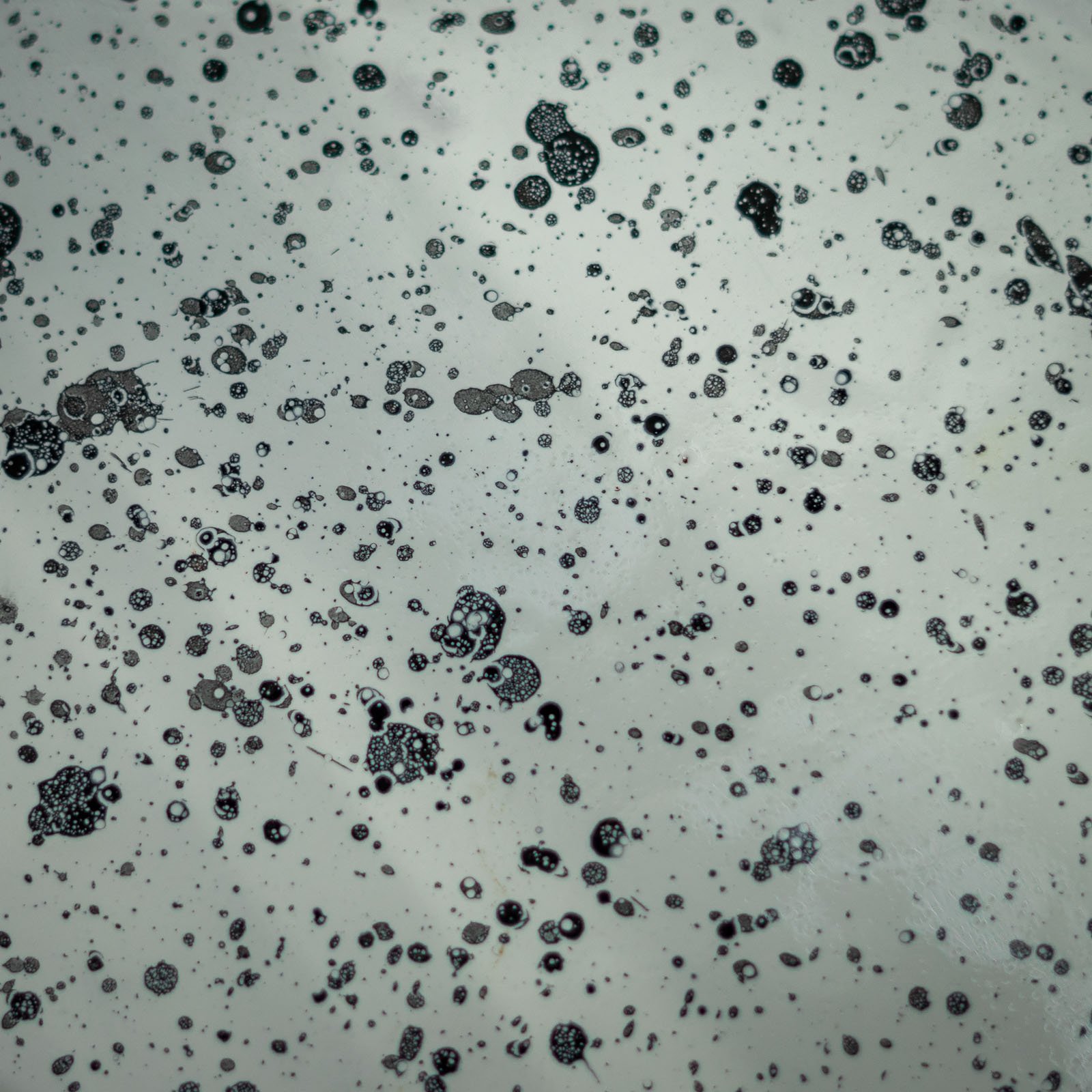 _DSC4070 - cópia.jpg