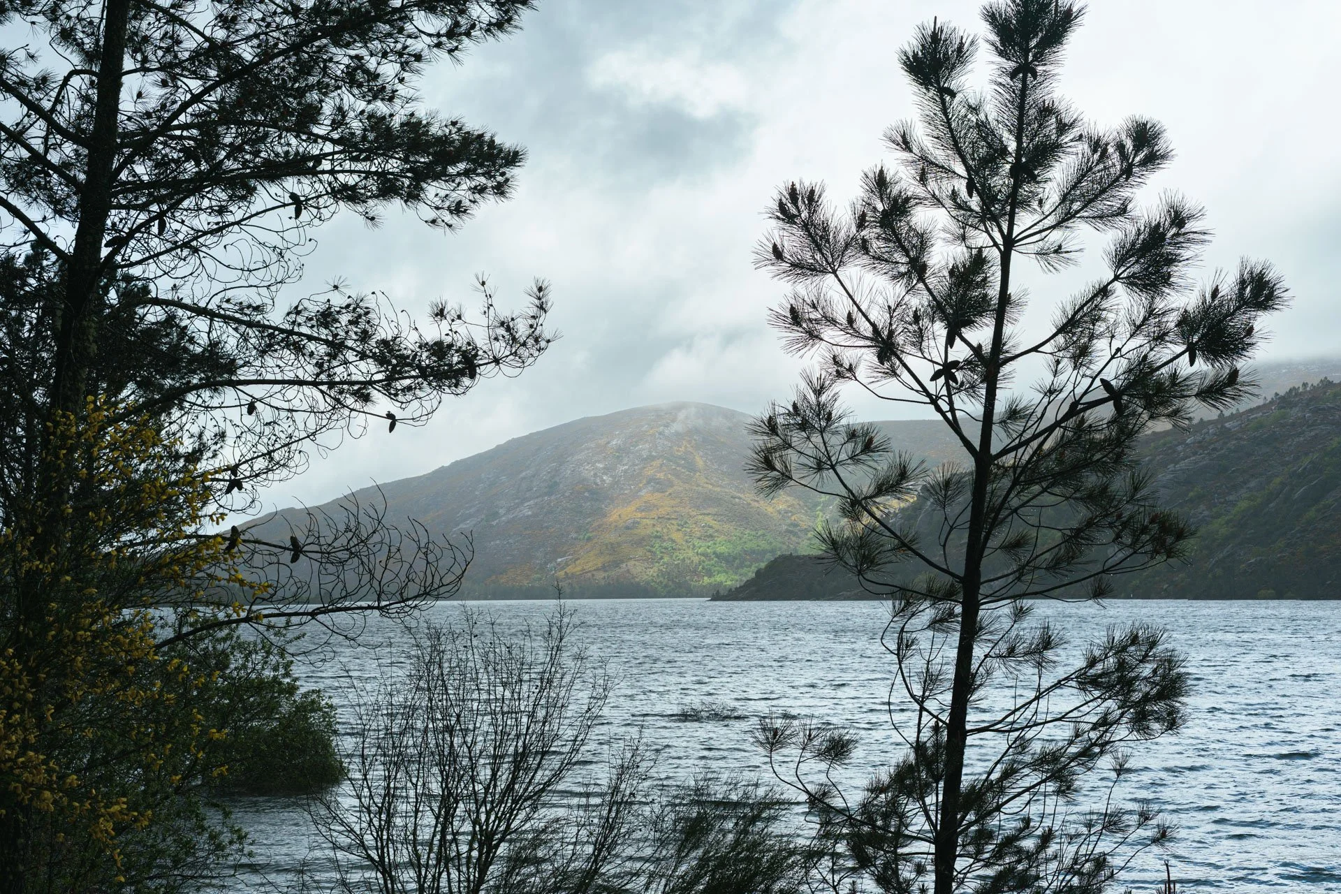 Lago cercado por árvores e montanhas ao fundo sob céu nublado.