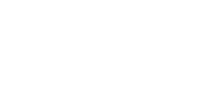 Apex Fortress Insight