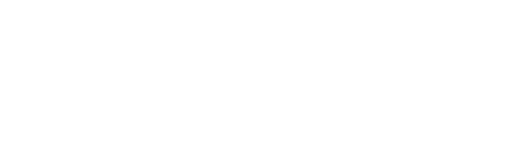 D'Orca Group, LLC