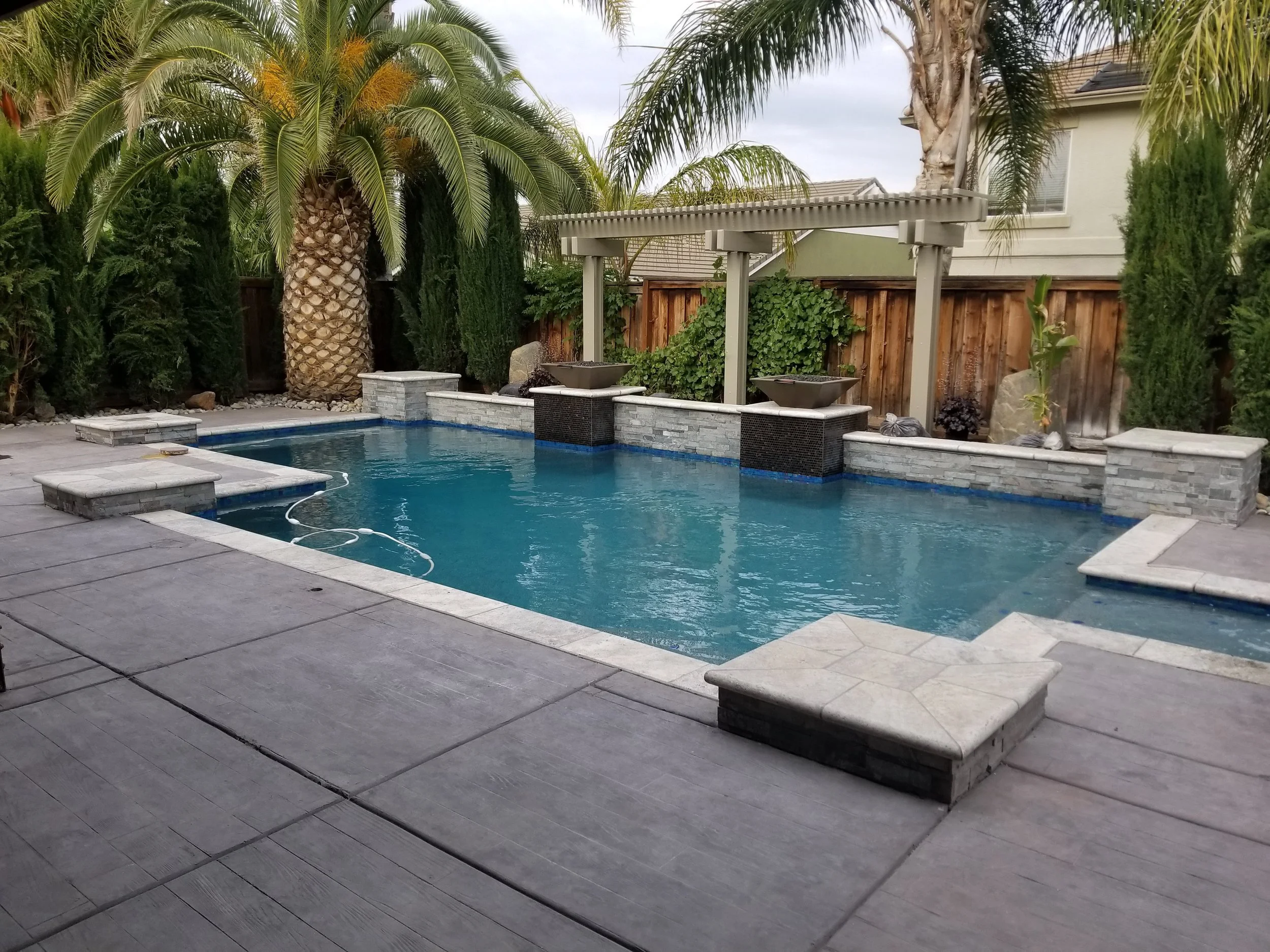 A backyard swimming pool with a stone deck, surrounded by palm trees, shrubs, and a wooden fence, with a decorative pergola overhead.