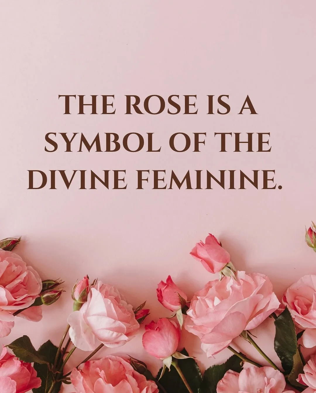 🌹💌🥀
the thoughts that come to mind when I think about roses