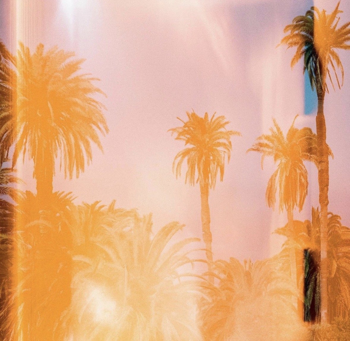 Sunset or sunrise over palm trees with a pink and orange sky.