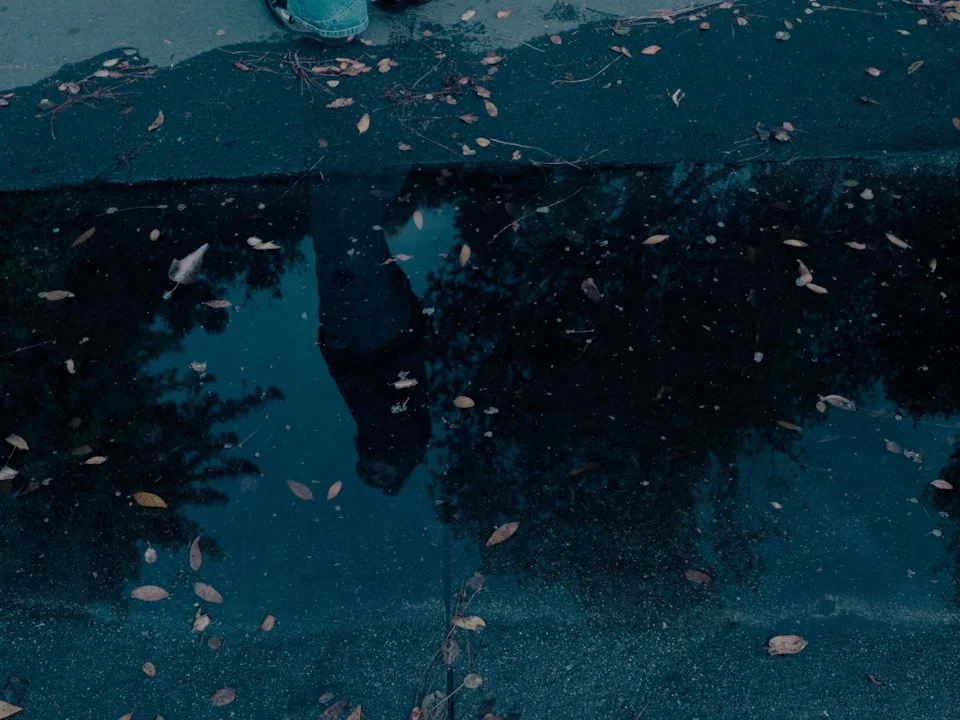 still 4.jpg