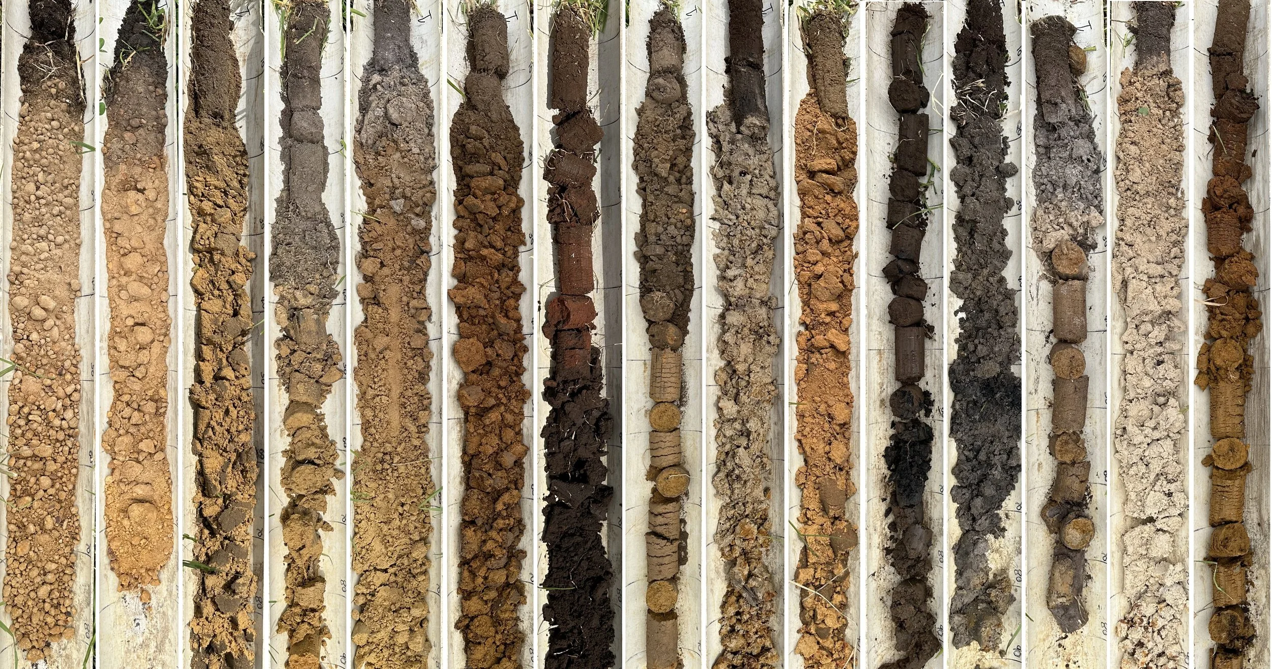 Rows of soil and dirt samples in white trays, each with different textures and colors, ranging from light tan to dark brown and black.