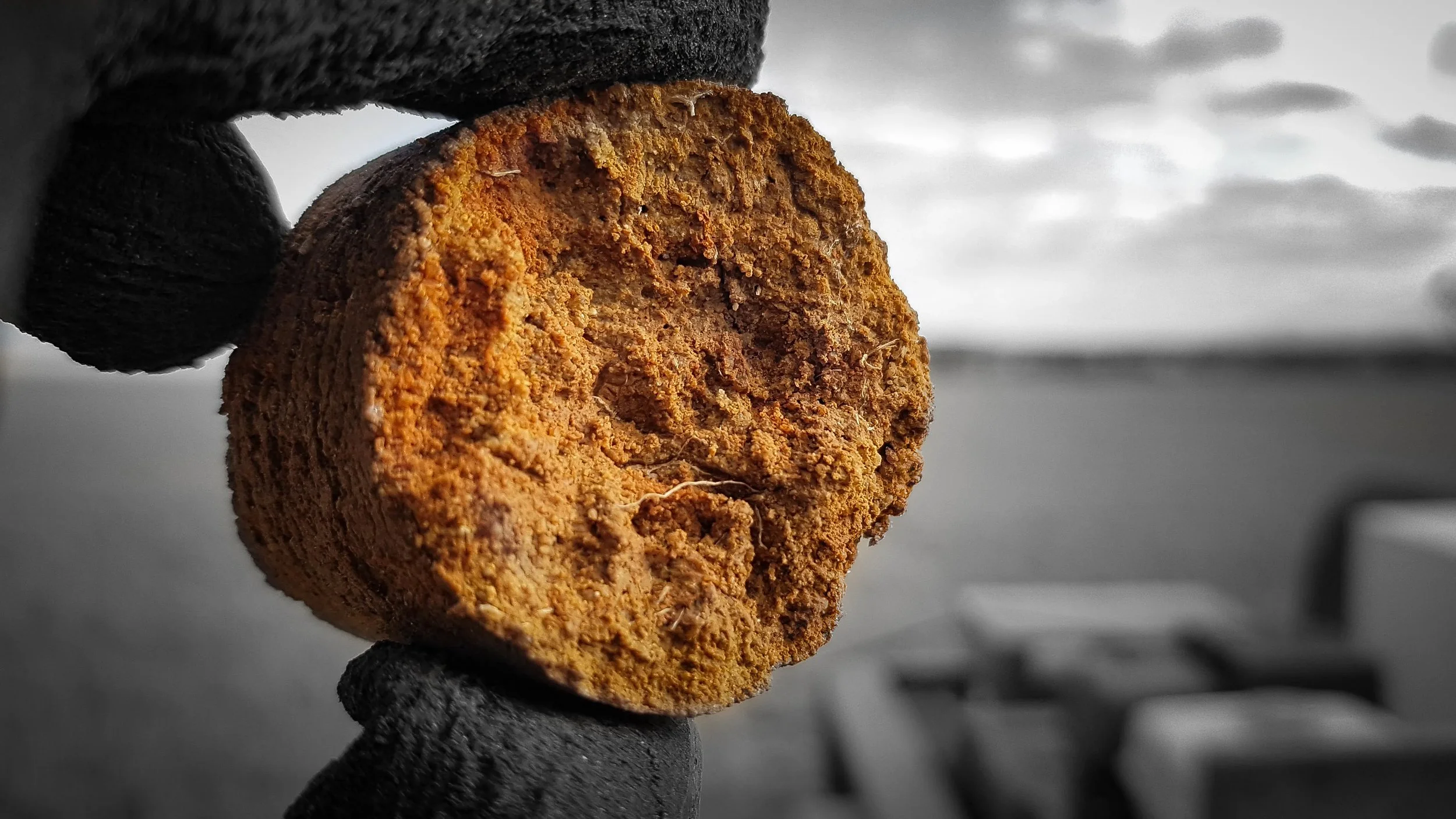 Close-up of a person's hand wearing a black glove holding a browned, soil clump, with a blurred background of a landscape with clouds and water.