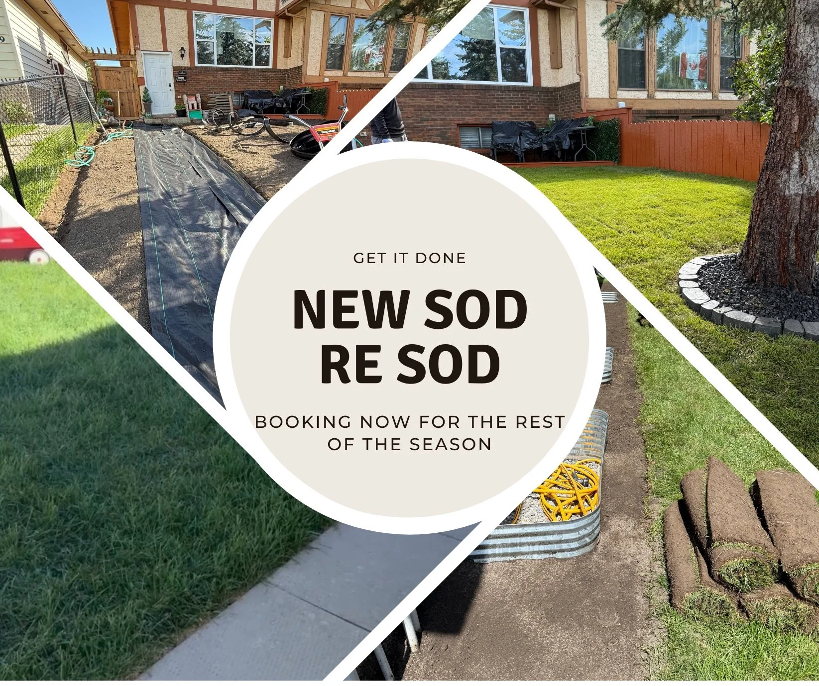 New sod re sod.png