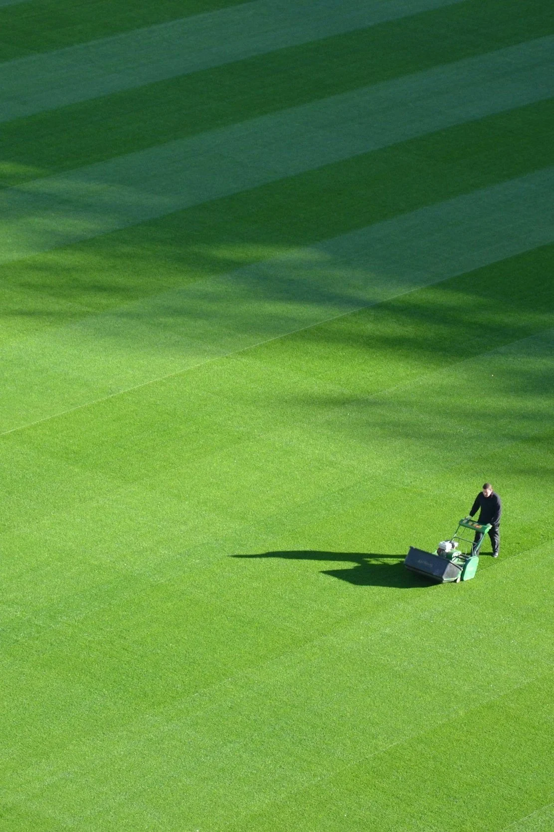 A person pushing a lawnmower on a large green lawn with shadows creating a striped pattern.