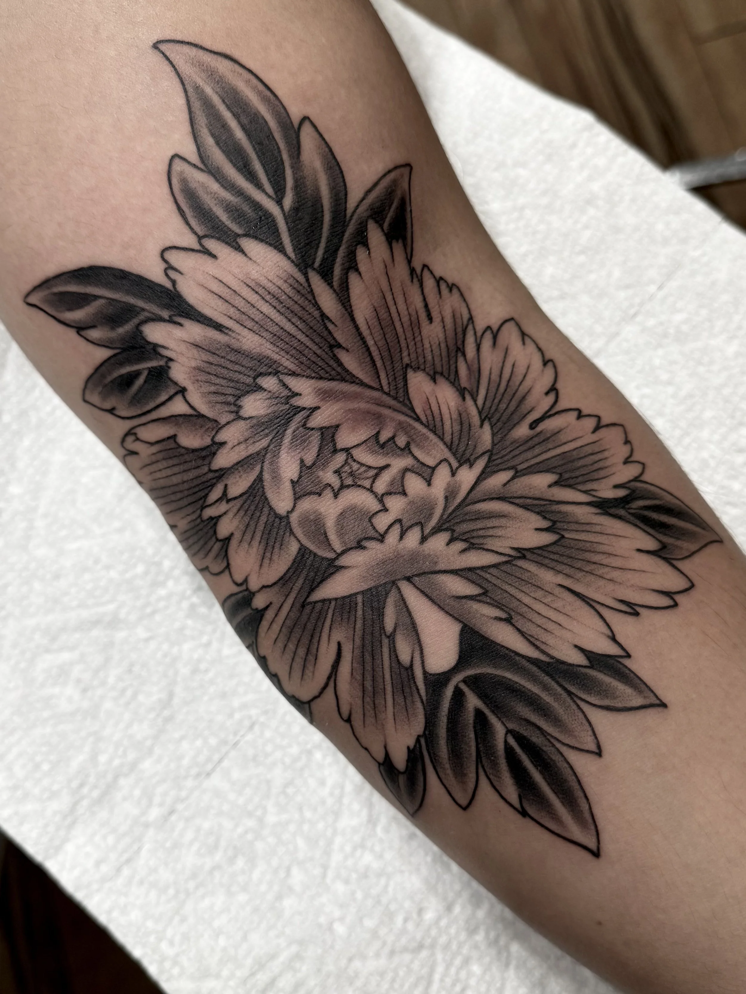 Black and gray tattoo of a large blooming flower with detailed petals and leaves on a person's arm.