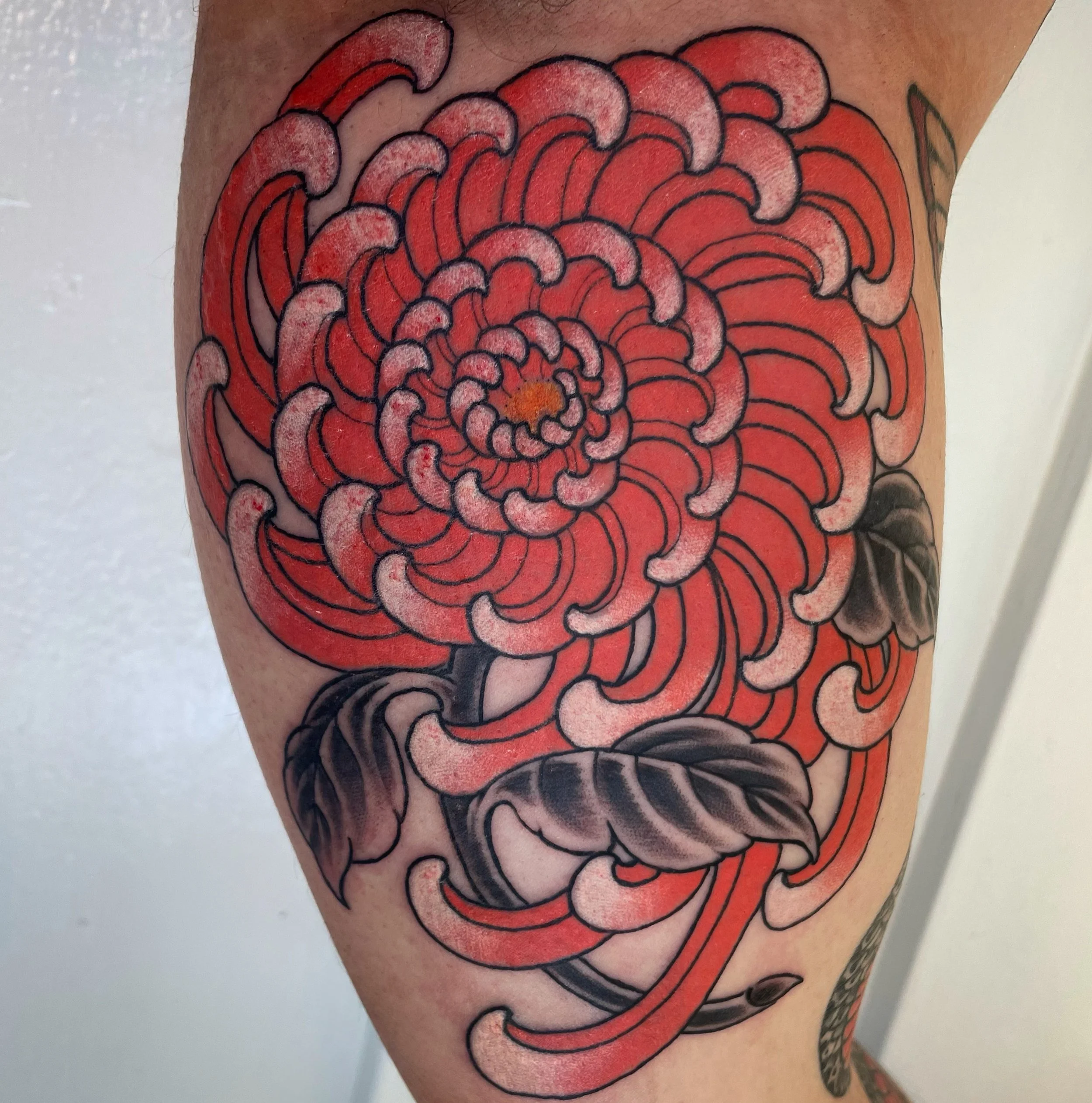 A colorful tattoo of a large red flower with black and gray leaves on a person's arm.