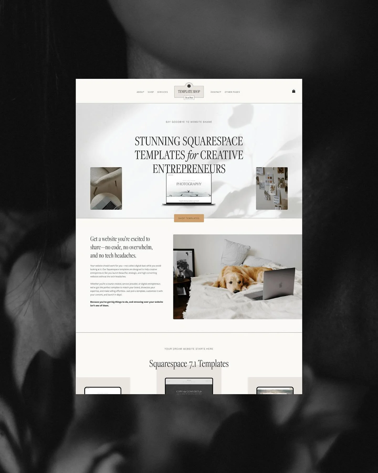 Let&rsquo;s be real: designing your own website is always the last thing on the to-do list.

That&rsquo;s why I created Template Shop in a Box&mdash;a done-for-you, fully customizable 25+ page Squarespace template built specifically for Squarespace d