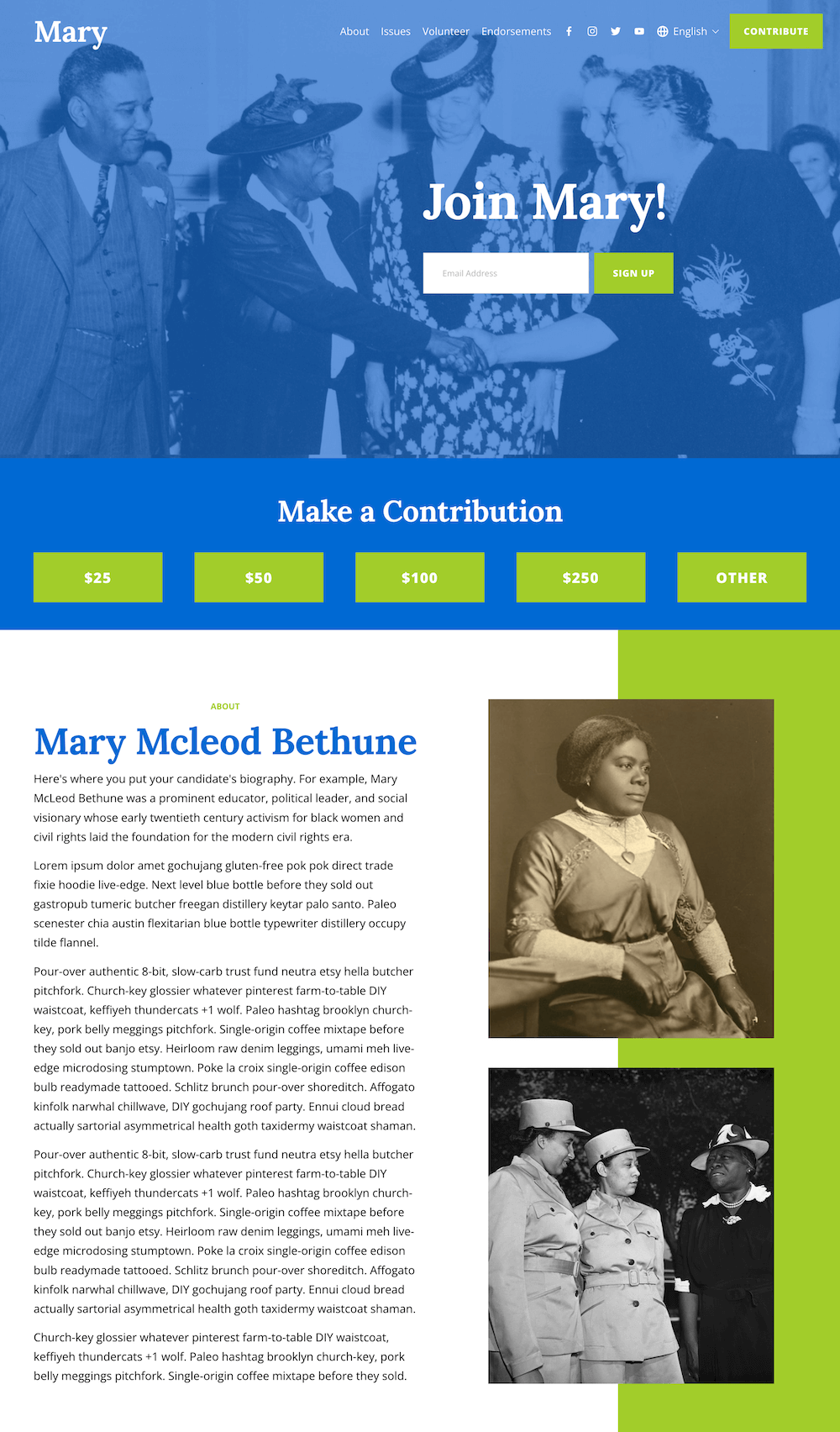 Mary Template by Swayed Digital