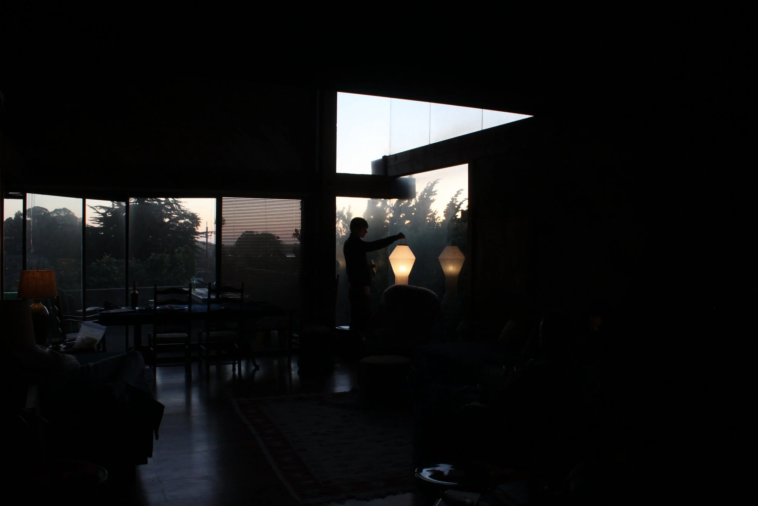 A silhouette of a person standing near a large window with trees outside during sunset, inside a dimly lit room with lamps and furniture.