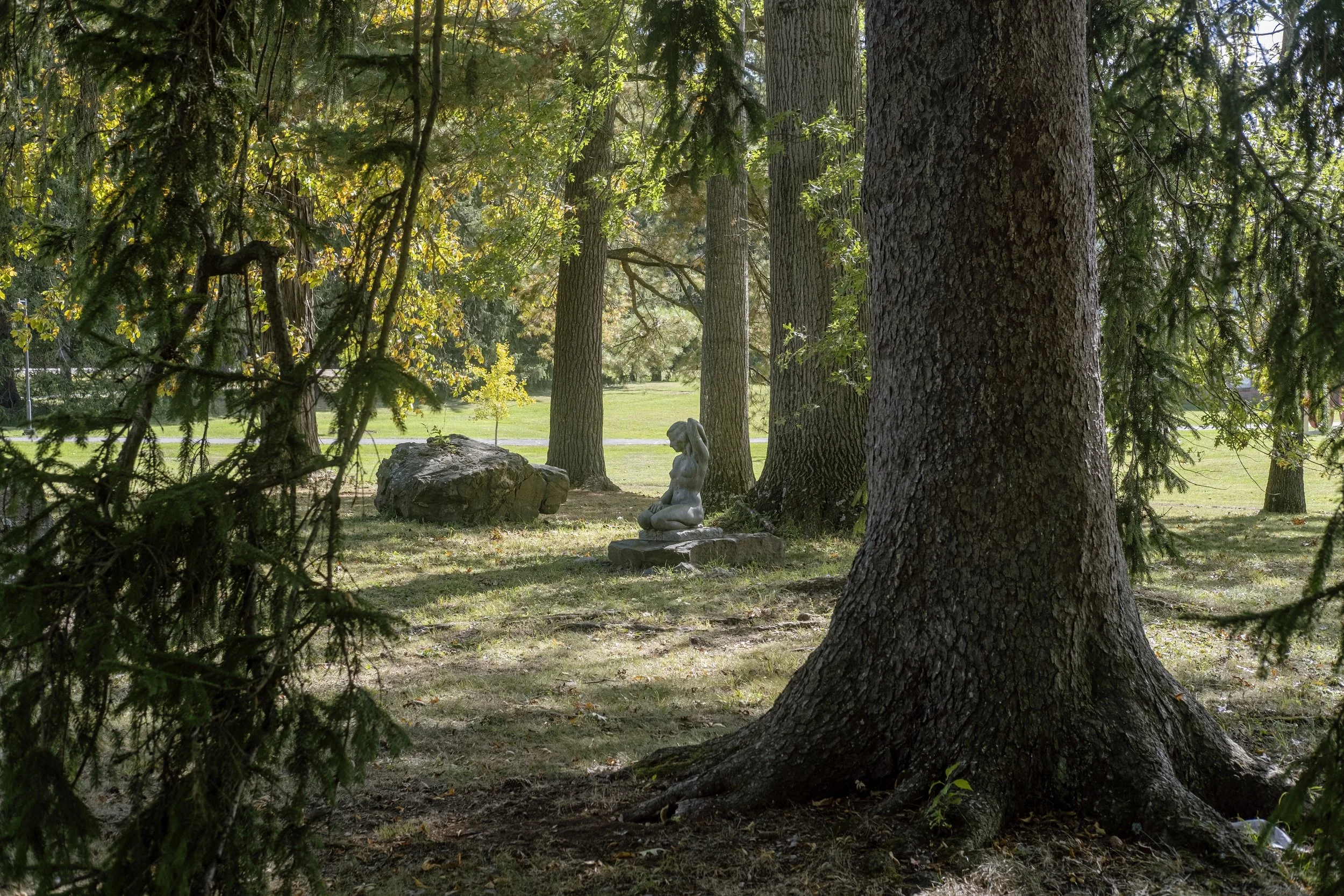 View of a forested area with large trees, greenery, and a statue of a woman sitting on a rock in the background.