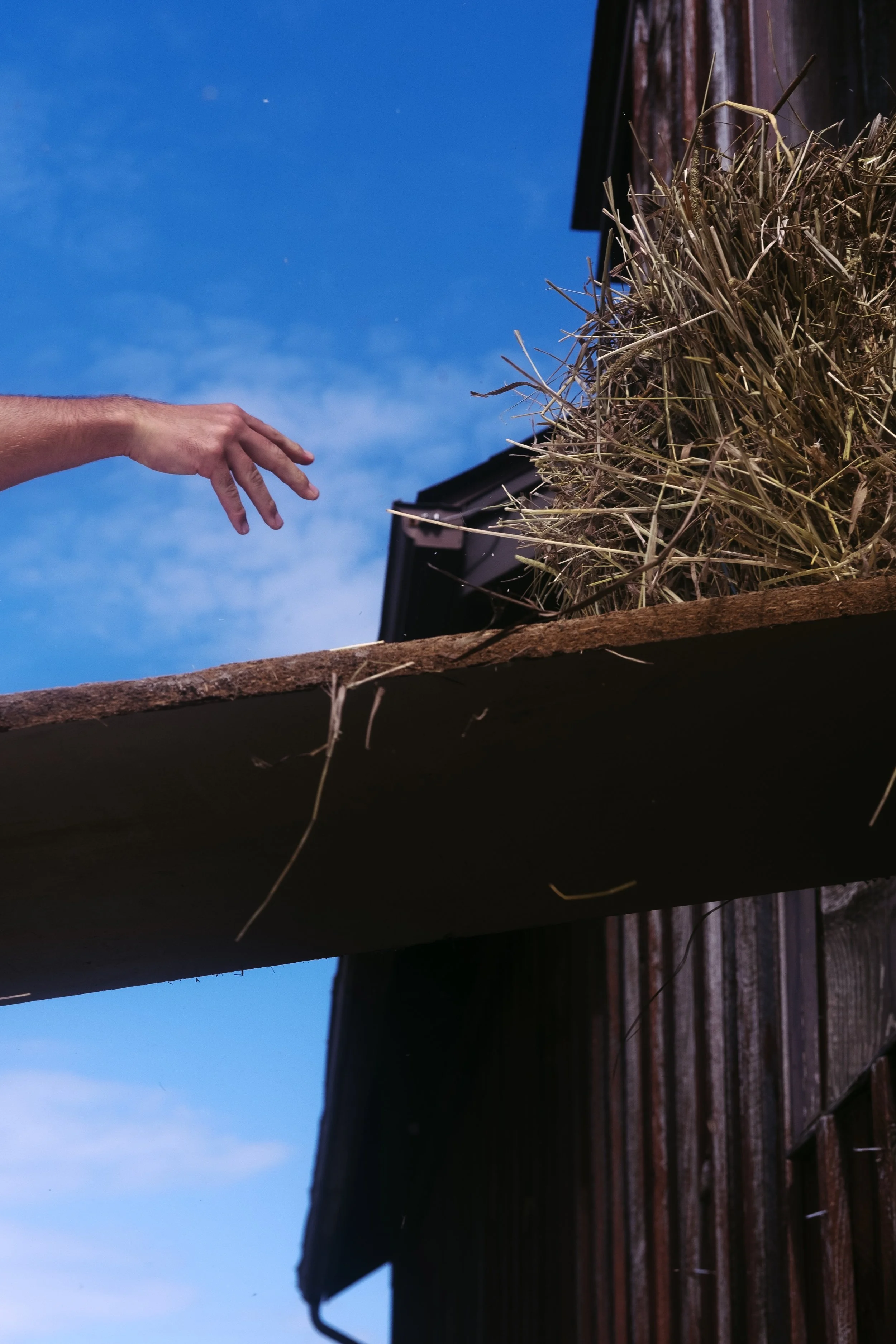 A hand reaching towards a haystack near a wooden barn against a blue sky.