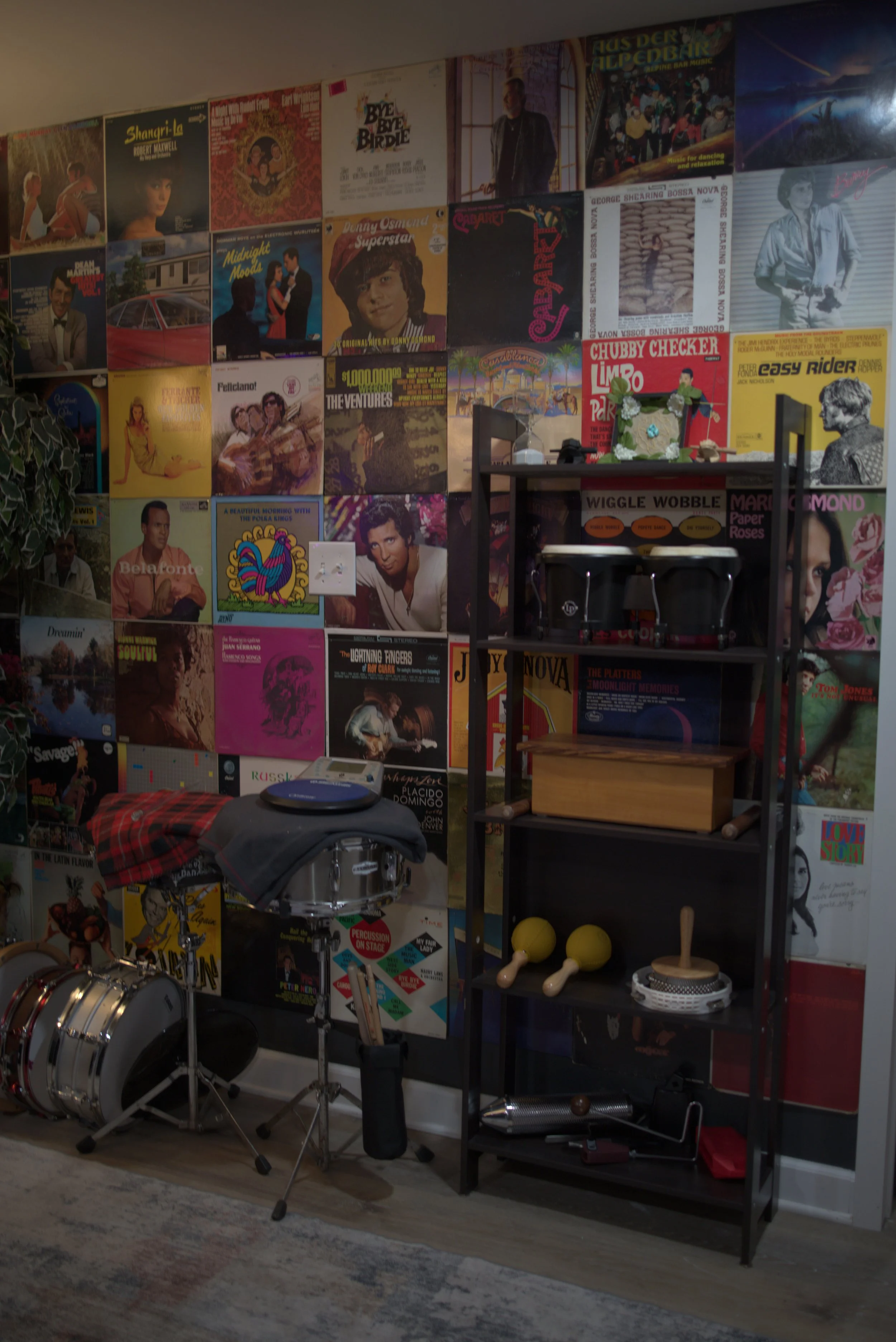 Wall of Knick Knacks