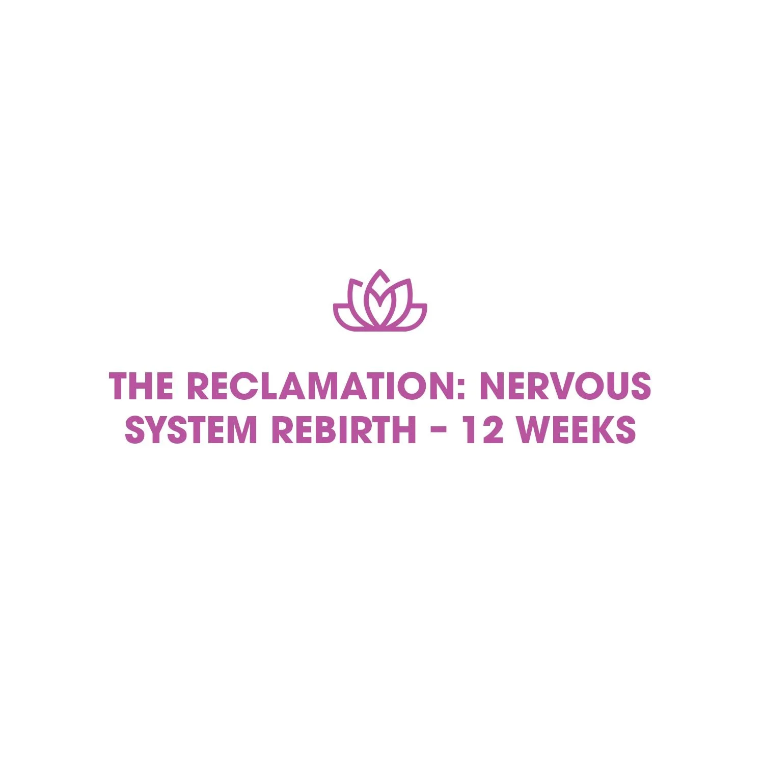 The Reclamation: Nervous System Rebirth – 12 Weeks
