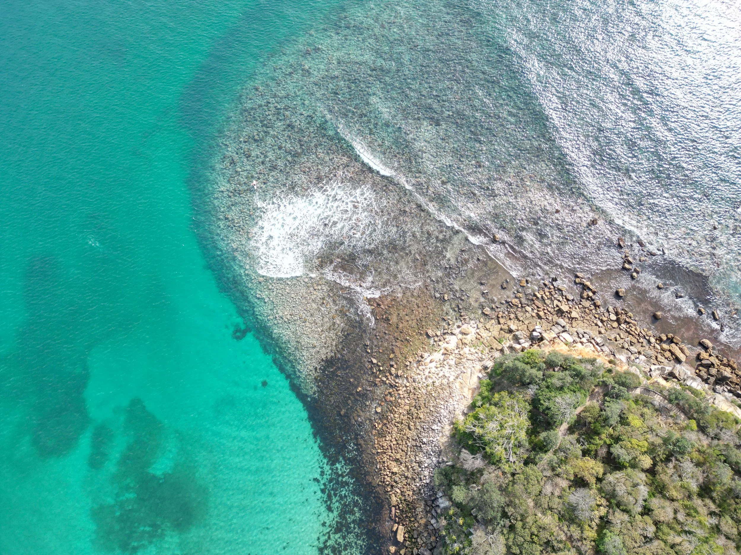 An aerial view of a rocky shoreline with clear turquoise water and sparse green trees.
