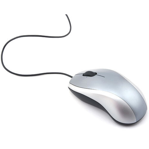 computer mouse.jpg
