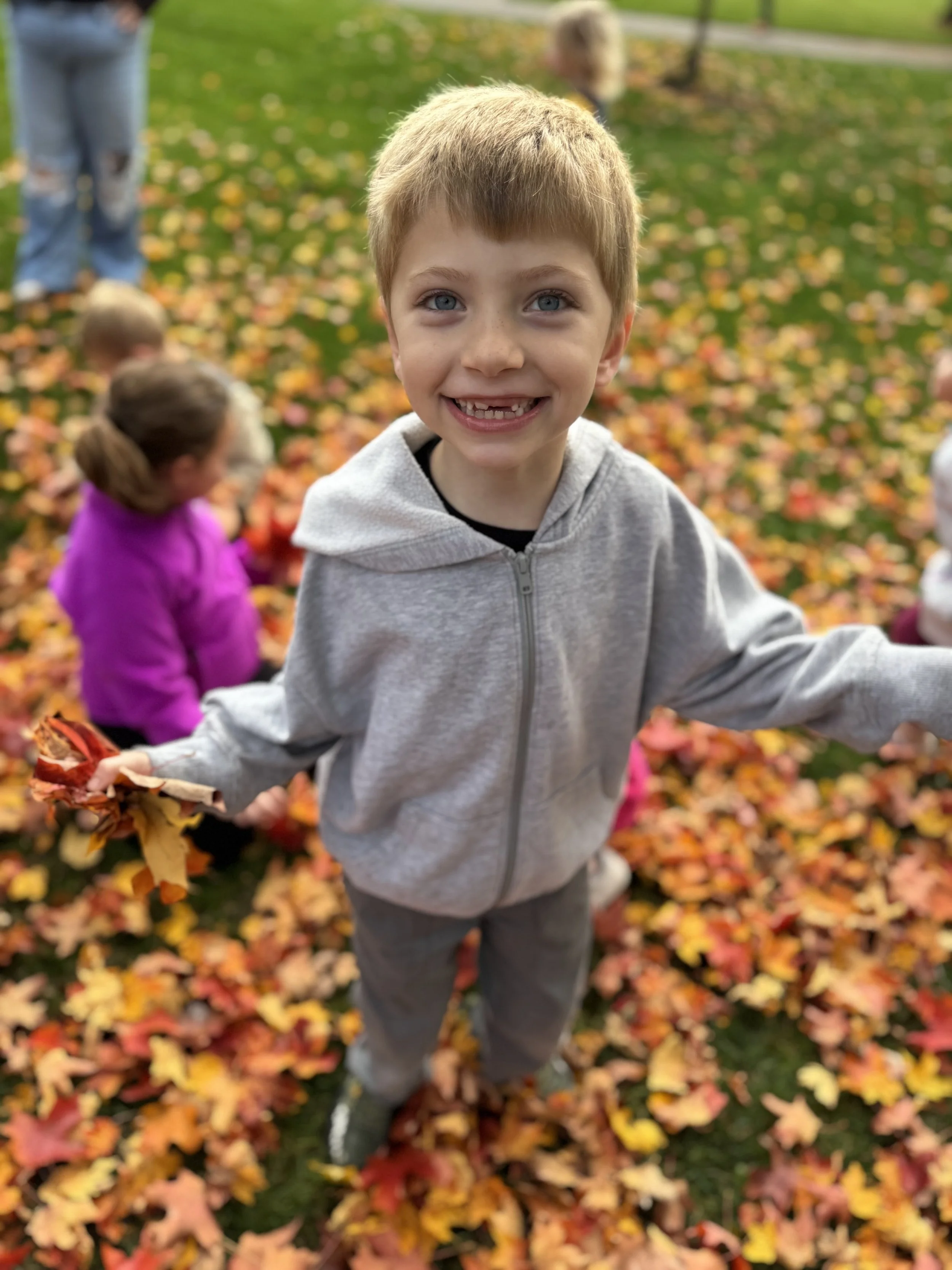 IMG_20261030_103148.jpg