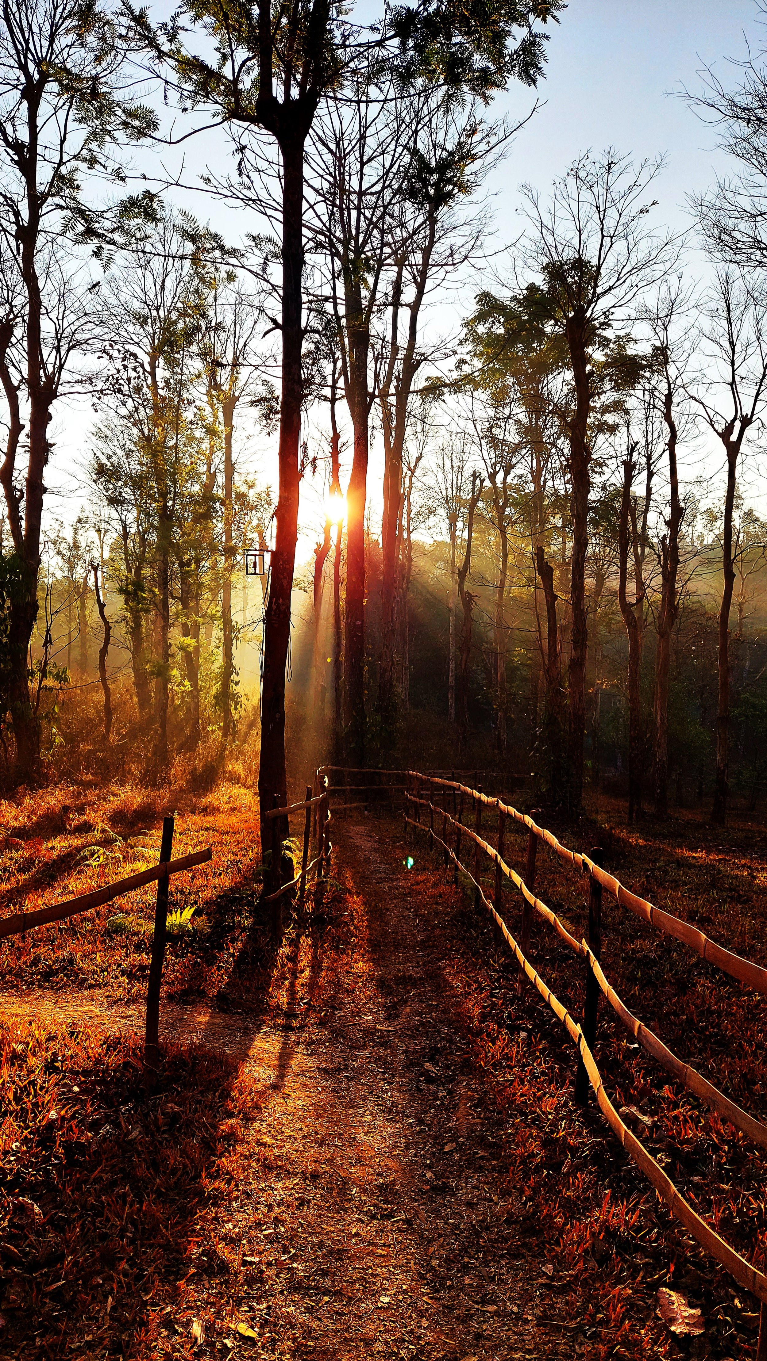 Wayanad, Kerala, India