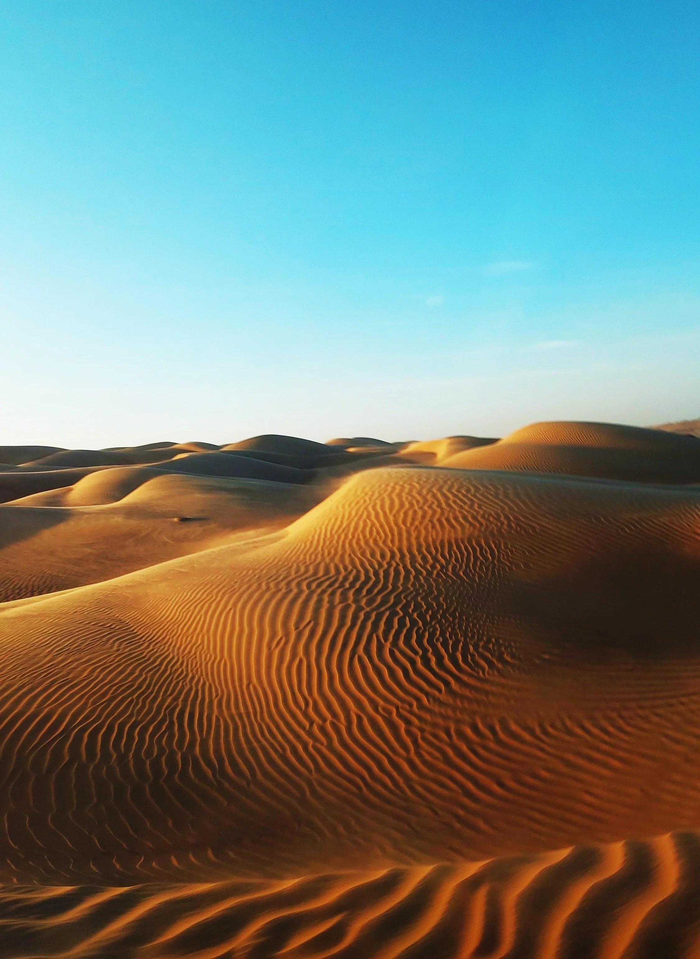 Sharqiyah Sands, Oman